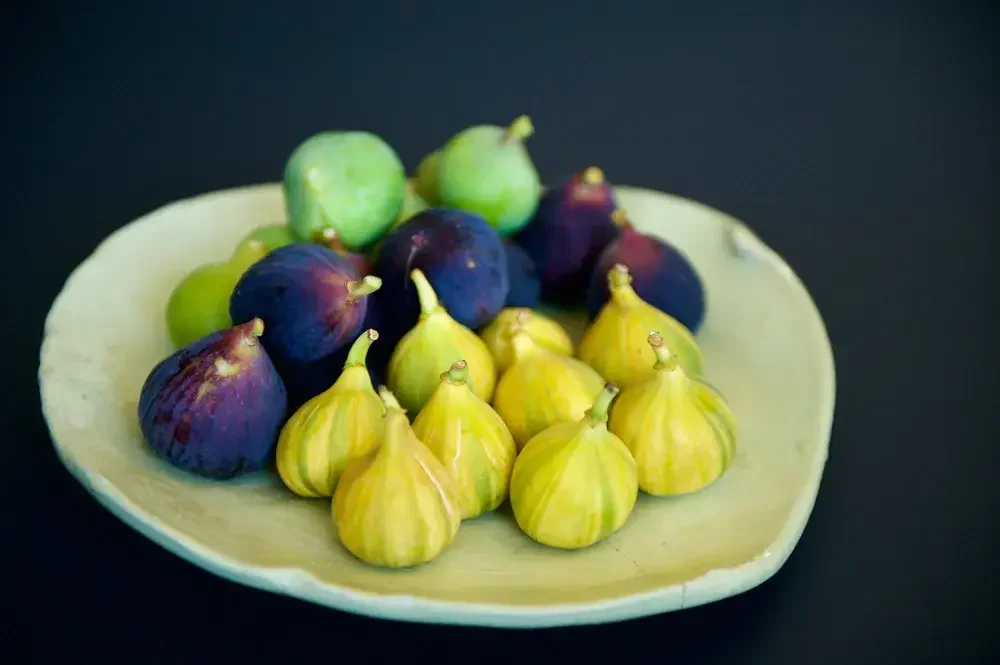 Différentes variétés de figue