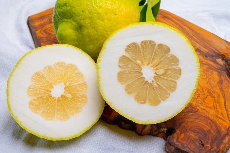 fruits-cedrat