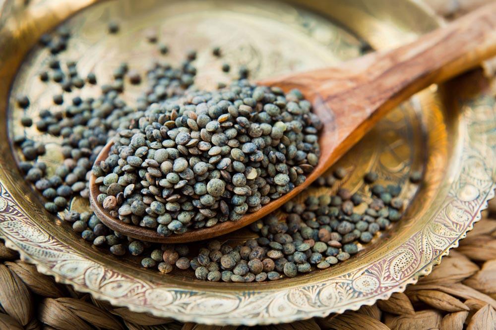 Lentille : semer, cultiver et récolter au potager