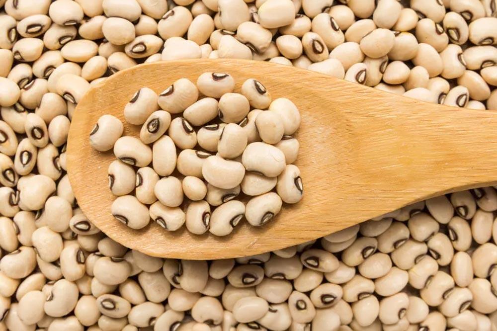 Niébé (haricot cornille) : semer et cultiver au potager