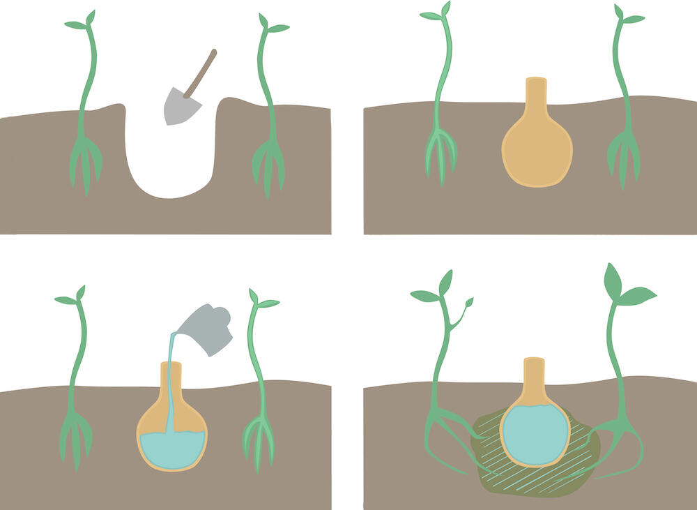 fonctionnement oya terre cuite arrosage potager