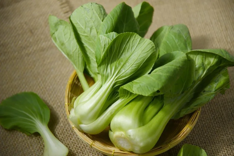 Pak-choï