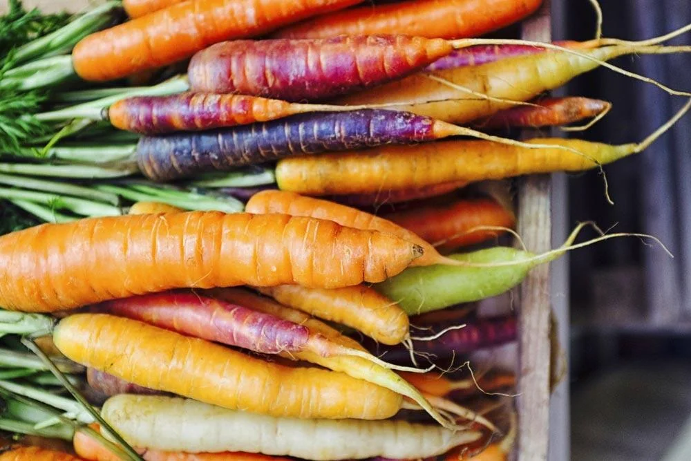 variete-carottes